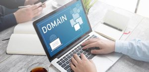 Domain Name Seo Services in Noida, India